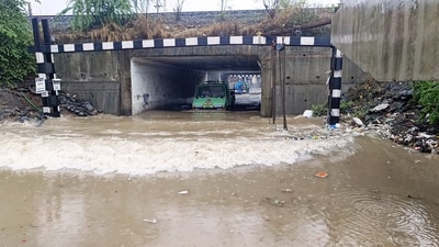 According to the State Emergency Operation Centre, some parts of the Valsad and Navsari districts received extremely heavy rainfall in a 24-hour period till Sunday morning. (ANI) According to the State Emergency Operation Centre, some parts of the Valsad and Navsari districts received extremely heavy rainfall in a 24-hour period till Sunday morning. (ANI)