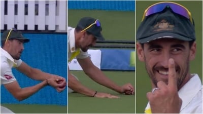 Mitchell Starc's catch was overturned in massive controversy during the second Ashes Test (Twitter) Mitchell Starc's catch was overturned in massive controversy during the second Ashes Test (Twitter)