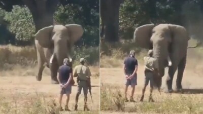 The video shows a man stopping a charging elephant by raising his hand. (Screengrab) The video shows a man stopping a charging elephant by raising his hand. (Screengrab)