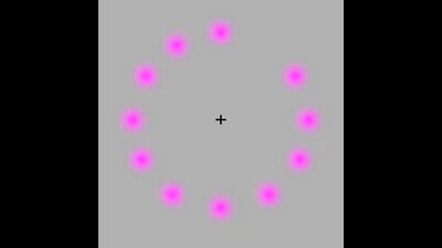 What colour circles do you see in this optical illusion? (Twitter/@TheFigen_)