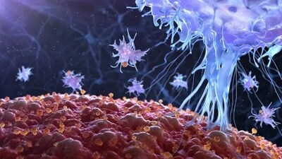 New concept to understand T cell traits, functions: Study (Unsplash) New concept to understand T cell traits, functions: Study (Unsplash)