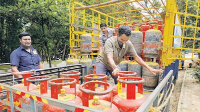 According to a senior official aware of the development, a team has been constituted to decide on a subsidy amount (File photo)