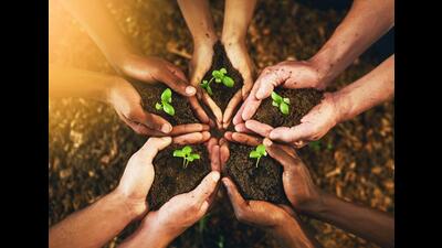 Before nurturing a garden, little did we know that its rebirth would refill our lives with unprecedented bliss, revising g(olden) parental lessons, writes UN Upadhaya. (Getty Images) Before nurturing a garden, little did we know that its rebirth would refill our lives with unprecedented bliss, revising g(olden) parental lessons, writes UN Upadhaya. (Getty Images)