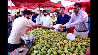 Officials distributing compostable bags at Apni Mandi, Sector 45, in Chandigarh on Monday. (Keshav Singh/HT) Officials distributing compostable bags at Apni Mandi, Sector 45, in Chandigarh on Monday. (Keshav Singh/HT)