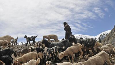 The pasture is located at a high altitude. (HT file) The pasture is located at a high altitude. (HT file)