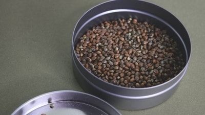 Improves immunity: Hemp seed helps to naturally reduce inflammation levels and strengthen the immune system because of its perfect fatty acid profile of omega-3 fats and Gamma-linolenic acid (GLA).&nbsp; (Unsplash)