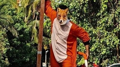Actor-director Hemwant Tiwari on the streets near Juhu beach in Mumbai in a fox costume.