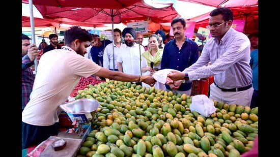 Officials distributing compostable bags at Apni Mandi, Sector 45, in Chandigarh on Monday. (Keshav Singh/HT)