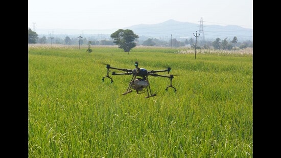 The drone machine is aimed to help farmers to overcome the non-availability of labourers and minimise expenditure. (HT Archives)