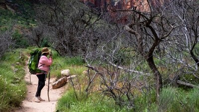 Parts of the Grand Canyon have even peaked at 114 degrees (AP Photo/Ty O'Neil - Representational image) (AP) Parts of the Grand Canyon have even peaked at 114 degrees (AP Photo/Ty O'Neil - Representational image) (AP)