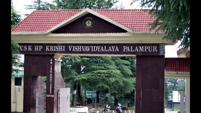 HPAU vice-chancellor HK Chaudhary said the university and IIT will also work jointly in application of drone technology in agriculture and facilitation of joint research programmes.