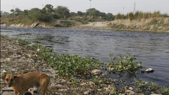 Bharadwaj said that the desilting and cleaning of the drain was being done on a large scale and the government will spend ₹11.2 crore on the project. (HT Archive)