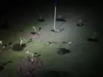 Spain Drought: The groups planted seedlings in the holes while some also used cement to them. Spain Drought: The groups planted seedlings in the holes while some also used cement to them.