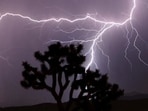 Nine people were killed due to lightning in seven districts in the state on Tuesday. (File) Nine people were killed due to lightning in seven districts in the state on Tuesday. (File)