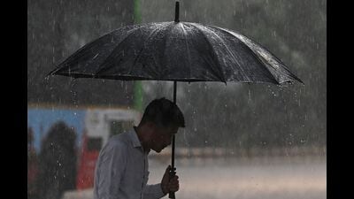 A man shelters under an umbrella during a rainfall. (AFP) A man shelters under an umbrella during a rainfall. (AFP)