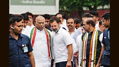 Congress President Mallikarjun Kharge, along with former party chief Rahul Gandhi and other senior leaders, will hold a strategy meeting with top leaders from poll-bound Rajasthan unit on Monday. (PTI) Congress President Mallikarjun Kharge, along with former party chief Rahul Gandhi and other senior leaders, will hold a strategy meeting with top leaders from poll-bound Rajasthan unit on Monday. (PTI)