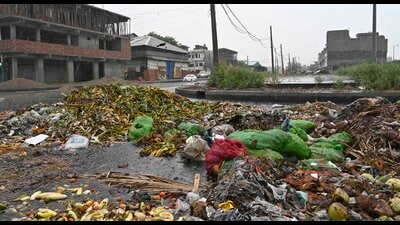 Garbage dump lying on the roads near the vegetable market in Ludhiana on Wednesday. (Gurpreet Singh/HT) Garbage dump lying on the roads near the vegetable market in Ludhiana on Wednesday. (Gurpreet Singh/HT)
