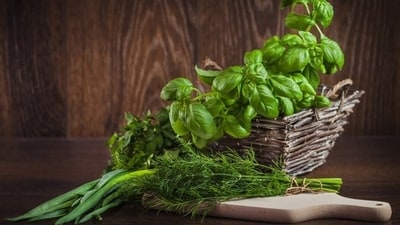 Nutritionist Lovneet Batra in her recent Instagram post suggests amazing herbs that one must incorporate into their diet during the monsoon season that can boost overall health and support your immune system. (Freepik) Nutritionist Lovneet Batra in her recent Instagram post suggests amazing herbs that one must incorporate into their diet during the monsoon season that can boost overall health and support your immune system. (Freepik)