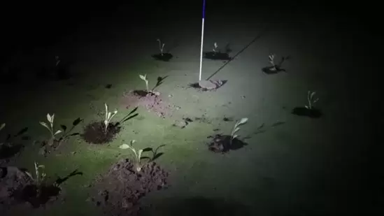 Spain Drought: The groups planted seedlings in the holes while some also used cement to them.
