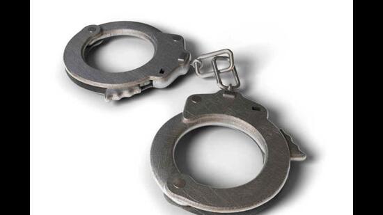 Court orders two-day custody for IREO MD