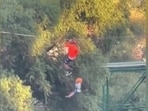 Image shows a six-year-old falling from a zipline in an amusement park in Mexico. Image shows a six-year-old falling from a zipline in an amusement park in Mexico.