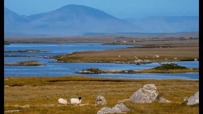 Connemara in County Galway, Ireland. (Shutterstock) Connemara in County Galway, Ireland. (Shutterstock)