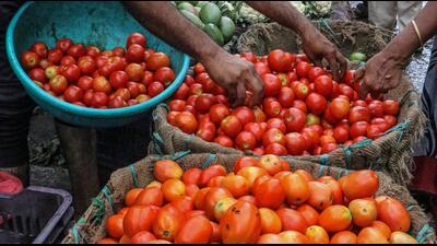 Consumers are seeing red with tomato prices touching an all-time high of ₹140 per kg in Chandigarh apni mandis. (PTI) Consumers are seeing red with tomato prices touching an all-time high of ₹140 per kg in Chandigarh apni mandis. (PTI)