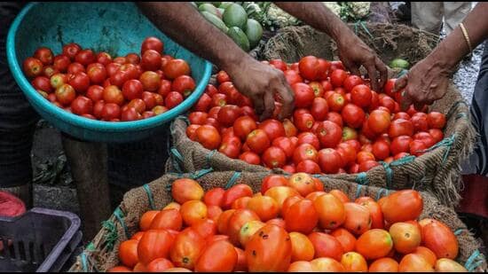 Consumers are seeing red with tomato prices touching an all-time high of ₹140 per kg in Chandigarh apni mandis. (PTI)