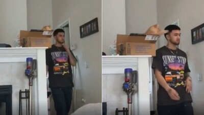 The image shows the cat who randomly slapped a man. (Reddit/@BarberFancy4) The image shows the cat who randomly slapped a man. (Reddit/@BarberFancy4)