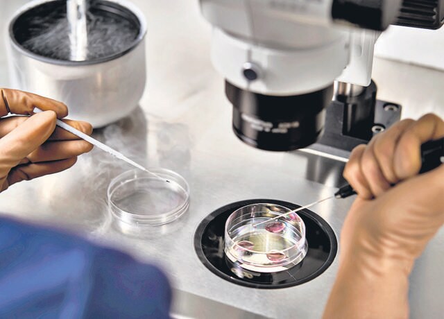 By freezing some of her eggs, a woman has bought herself some time, but only just. Under Indian law, the storage period for eggs is capped at 10 years. (Shutterstock) By freezing some of her eggs, a woman has bought herself some time, but only just. Under Indian law, the storage period for eggs is capped at 10 years. (Shutterstock)