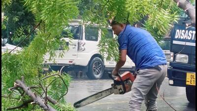 An uprooted tree near Lodhi Road after heavy rainfall in New Delhi on Saturday. (HT PHOTO) An uprooted tree near Lodhi Road after heavy rainfall in New Delhi on Saturday. (HT PHOTO)