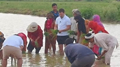 Congress leader Rahul Gandhi on Saturday made an impromptu visit to Madina village in Haryana's Sonipat district and spent time with farmers. (HT Photo) Congress leader Rahul Gandhi on Saturday made an impromptu visit to Madina village in Haryana's Sonipat district and spent time with farmers. (HT Photo)