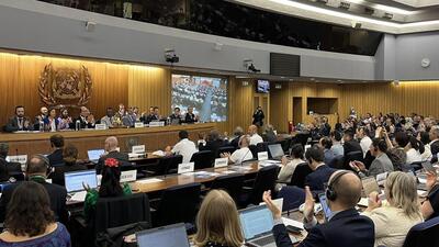 International Maritime Organization conference on greenhouse strategy was held on Friday (Twitter/@IMOHQ) International Maritime Organization conference on greenhouse strategy was held on Friday (Twitter/@IMOHQ)