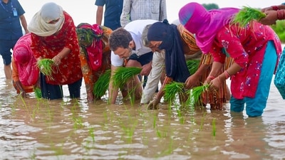 In pictures tweeted by the Congress' official handle, Rahul Gandhi was seen sporting a white t-shirt and trousers. (PTI) In pictures tweeted by the Congress' official handle, Rahul Gandhi was seen sporting a white t-shirt and trousers. (PTI)