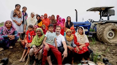 Rahul Gandhi interacted with people and spent time with farmers working on agricultural lands in a village in Sonipat. (PTI) Rahul Gandhi interacted with people and spent time with farmers working on agricultural lands in a village in Sonipat. (PTI)