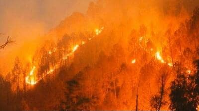 The study has indicated that the concentration of nitrogen witnesses a significant increase during March and April due to wildfires. (Representational photo) The study has indicated that the concentration of nitrogen witnesses a significant increase during March and April due to wildfires. (Representational photo)