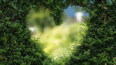 Daily Love and Relationship Horoscope 2023: Find out love predictions for July 8. Daily Love and Relationship Horoscope 2023: Find out love predictions for July 8.