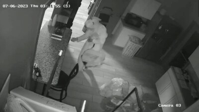 Screengrab of the video of burglary in Illinois.