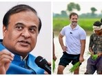 Himanta Biswa Sarma said farmers were heckled to pose as farmers for Rahul Gandhi's photos. Himanta Biswa Sarma said farmers were heckled to pose as farmers for Rahul Gandhi's photos.