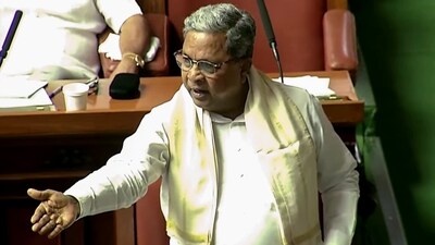 CM Siddaramaiah (ANI ) CM Siddaramaiah (ANI )