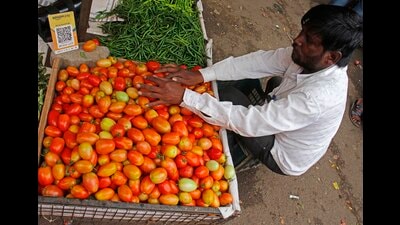 According to vendors, tomato prices, this week ranged between ₹120 and ₹150 per kg in the retail market. (Ravindra Joshi/HT PHOTO) According to vendors, tomato prices, this week ranged between ₹120 and ₹150 per kg in the retail market. (Ravindra Joshi/HT PHOTO)