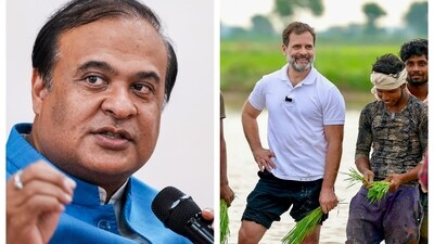 Himanta Biswa Sarma said farmers were heckled to pose as farmers for Rahul Gandhi's photos. Himanta Biswa Sarma said farmers were heckled to pose as farmers for Rahul Gandhi's photos.