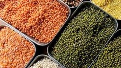 Food to AvoidGrains and Pulses: Regular wheat, rice, lentils, and other grains are not consumed. Instead, fasting-specific alternatives like sabudana, sama rice (barnyard millet), and kuttu (buckwheat) flour are used. (File Photo) Food to AvoidGrains and Pulses: Regular wheat, rice, lentils, and other grains are not consumed. Instead, fasting-specific alternatives like sabudana, sama rice (barnyard millet), and kuttu (buckwheat) flour are used. (File Photo)