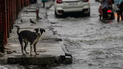 The recent downpour has helped fill the overall rainfall deficit, data shows The recent downpour has helped fill the overall rainfall deficit, data shows