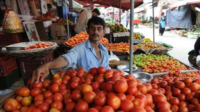 Traders blamed the sudden spike in tomato prices to rain. (HT Archive) Traders blamed the sudden spike in tomato prices to rain. (HT Archive)
