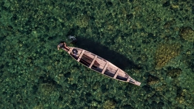 Dawki, located in the state of Meghalaya in northeastern India, is a hidden gem that offers breathtaking photographic opportunities. The highlight of Dawki is its crystal-clear river, Umngot, which is known for its mesmerizing turquoise waters. Capture the surreal beauty of the river as you photograph boating activities or opt for an adventurous boat ride yourself.&nbsp; (Amrita Sharma on Unsplash)