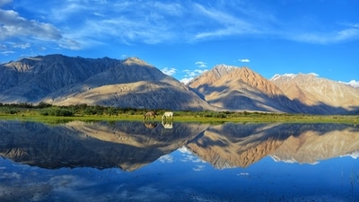 Leh and Ladakh, situated amidst the stunning Great Himalayas and Karakoram ranges, are renowned for their awe-inspiring landscapes, picturesque green oases, and serene Buddhist monasteries. These destinations offer a sensational and unparalleled experience with snow-capped mountains and crystal-clear skies. (Darshan Chudasama on Unsplash)