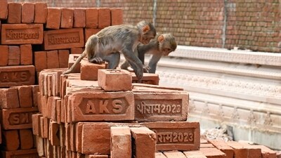  In its ruling on November 9, 2019, the Supreme Court mandated that a Ram temple be built on the site where the Babri Masjid once stood and that five acres be set aside for the construction of a mosque within the district of Ayodhya in Uttar Pradesh. (Photo by Deepak Gupta/Hindustan Times) In its ruling on November 9, 2019, the Supreme Court mandated that a Ram temple be built on the site where the Babri Masjid once stood and that five acres be set aside for the construction of a mosque within the district of Ayodhya in Uttar Pradesh. (Photo by Deepak Gupta/Hindustan Times)