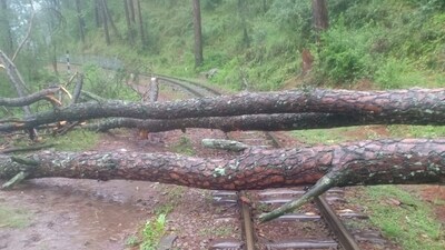 Due to incessant rain, tree and boulder falling, all rail operations on the Kalka-Shimla track will remain suspended on Sunday. (@TTRHimachal/ Twitter ) Due to incessant rain, tree and boulder falling, all rail operations on the Kalka-Shimla track will remain suspended on Sunday. (@TTRHimachal/ Twitter )