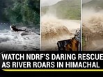 WATCH NDRF'S DARING RESCUE AS RIVER ROARS IN HIMACHAL